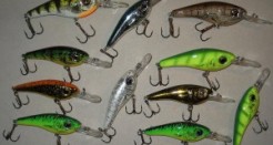 Cotton Cordell – Grappler Shad